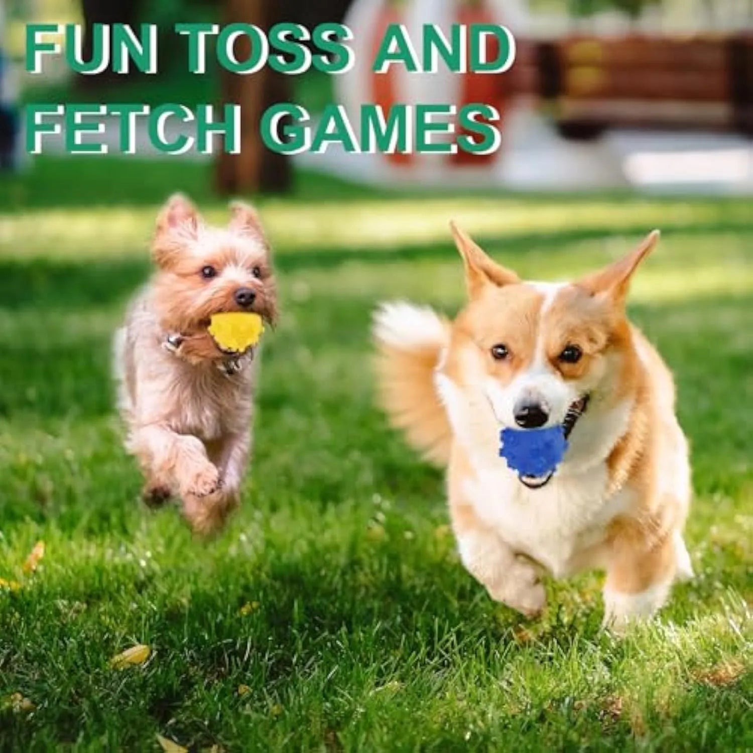 Four colourful spiked dog balls with 2-inch diameter, designed for small breed dental chew and fetch games