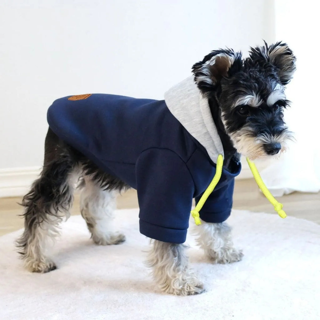 British-style pet hoodie pullover in dark red with contrast colour trim for dogs and cats