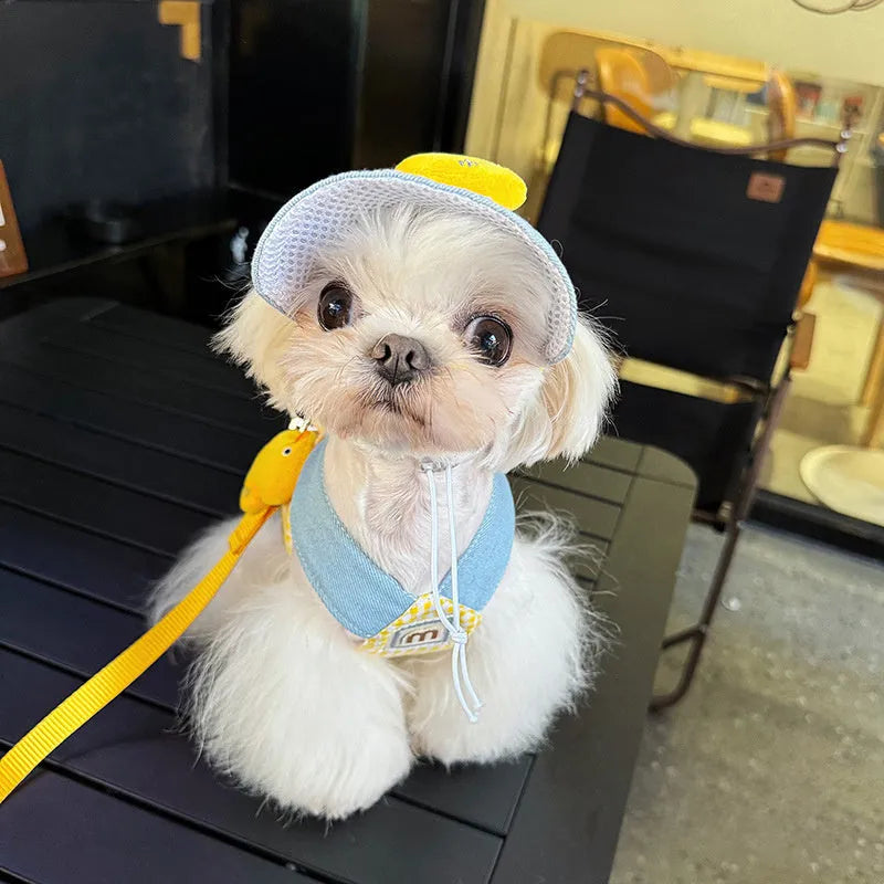 Adjustable dog harness and leash set with 1.2m lead, wire rope pulling rope, and accessories in four sizes