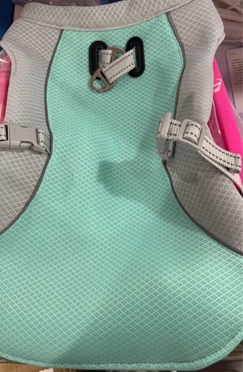 Orange dog cooling vest on a dog showing layered construction and adjustable fit