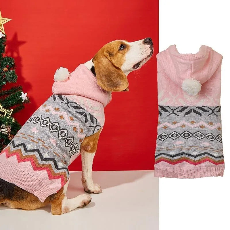 Green diamond pattern pet sweater on small dog showing knit texture and proper fit
