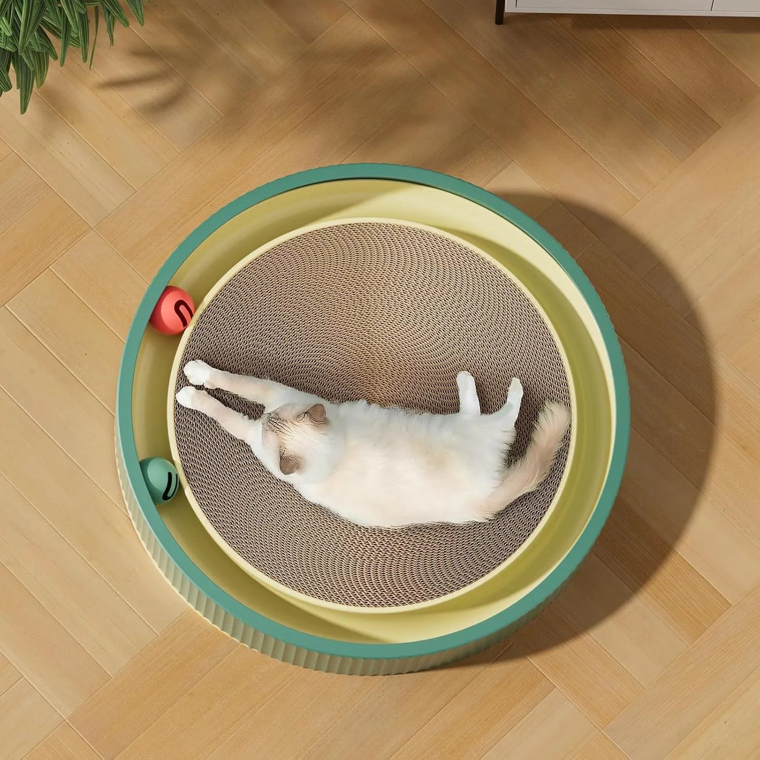 Green and white cat scratching board with 45cm diameter, showing corrugated cardboard surface and three ball toys