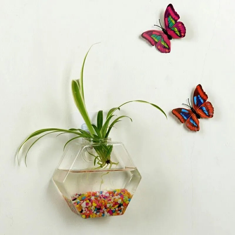 Wall-mounted geometric fish tank in high borosilicate glass, polished finish, 13x13cm and 17x17cm sizes