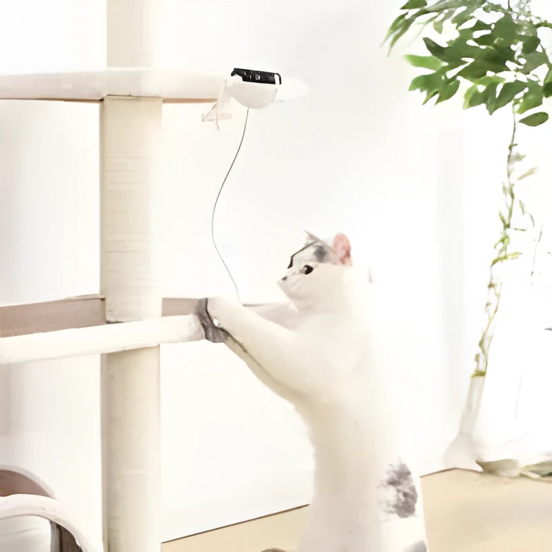 White electric interactive cat toy with 7cm ball and rope plus real fur ball accessory for indoor cats