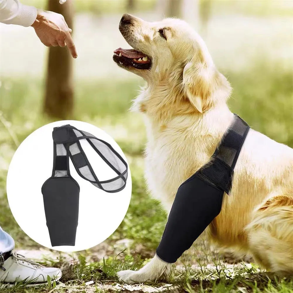 Dog leg support protector in diving cloth and mesh, adjustable Velcro strap, for front and rear legs, sizes XS to XL.