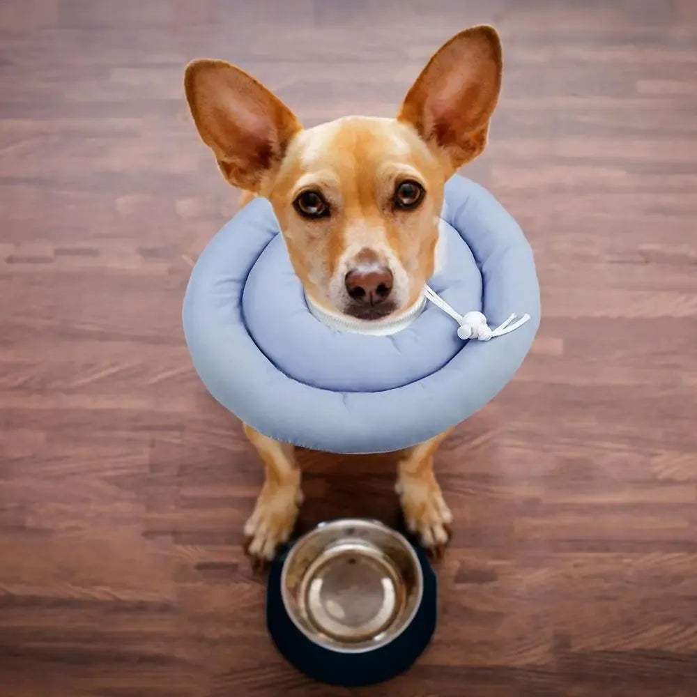 Waterproof Elizabethan collar for dogs and cats in pink, blue, or grey colours