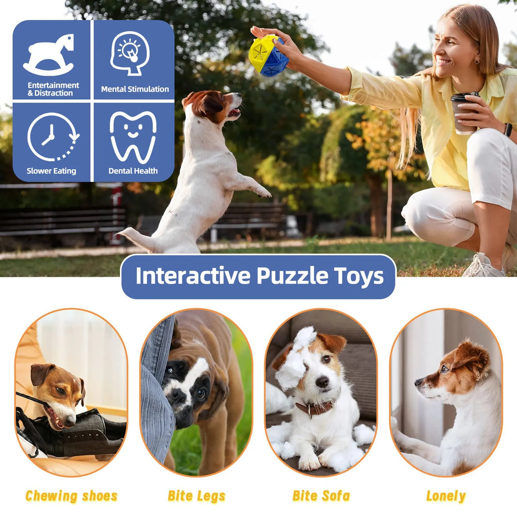 Red and blue bite-resistant rubber hollow dog toy ball for food dispensing and interactive play.