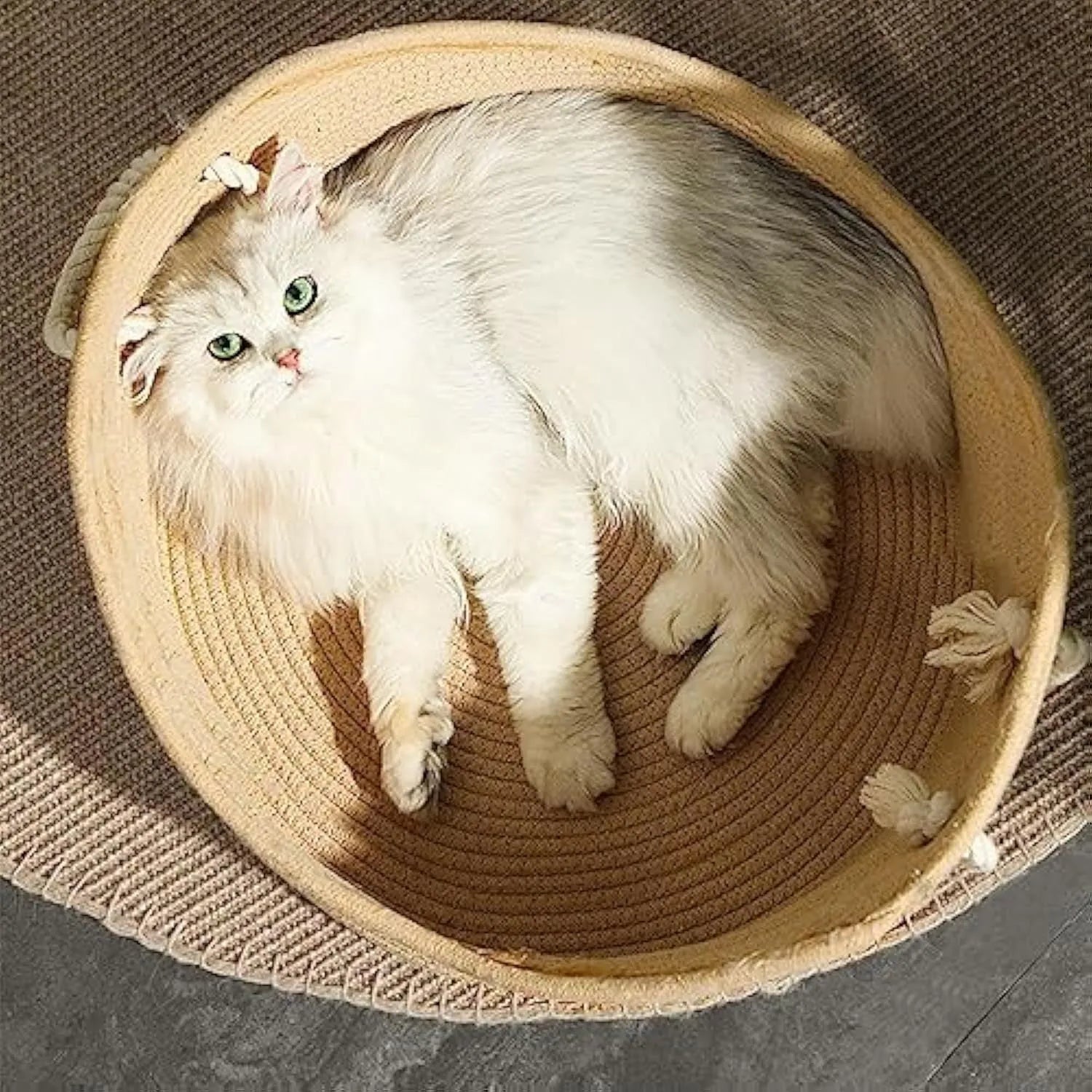 Wicker cat bed basket with corrugated scratching board, dimensions 40x40x20cm or 50x50x20cm, for feline resting and claw maintenance