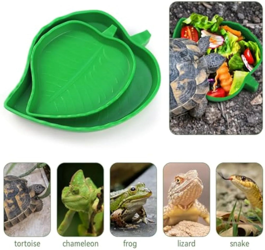 Two leaf-shaped reptile food and water bowls in a set, for tortoise, lizard, bearded dragon or small snake.