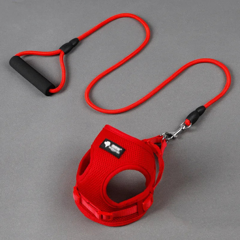 Blue adjustable dog leash with foam handle and 120cm rope for small dogs