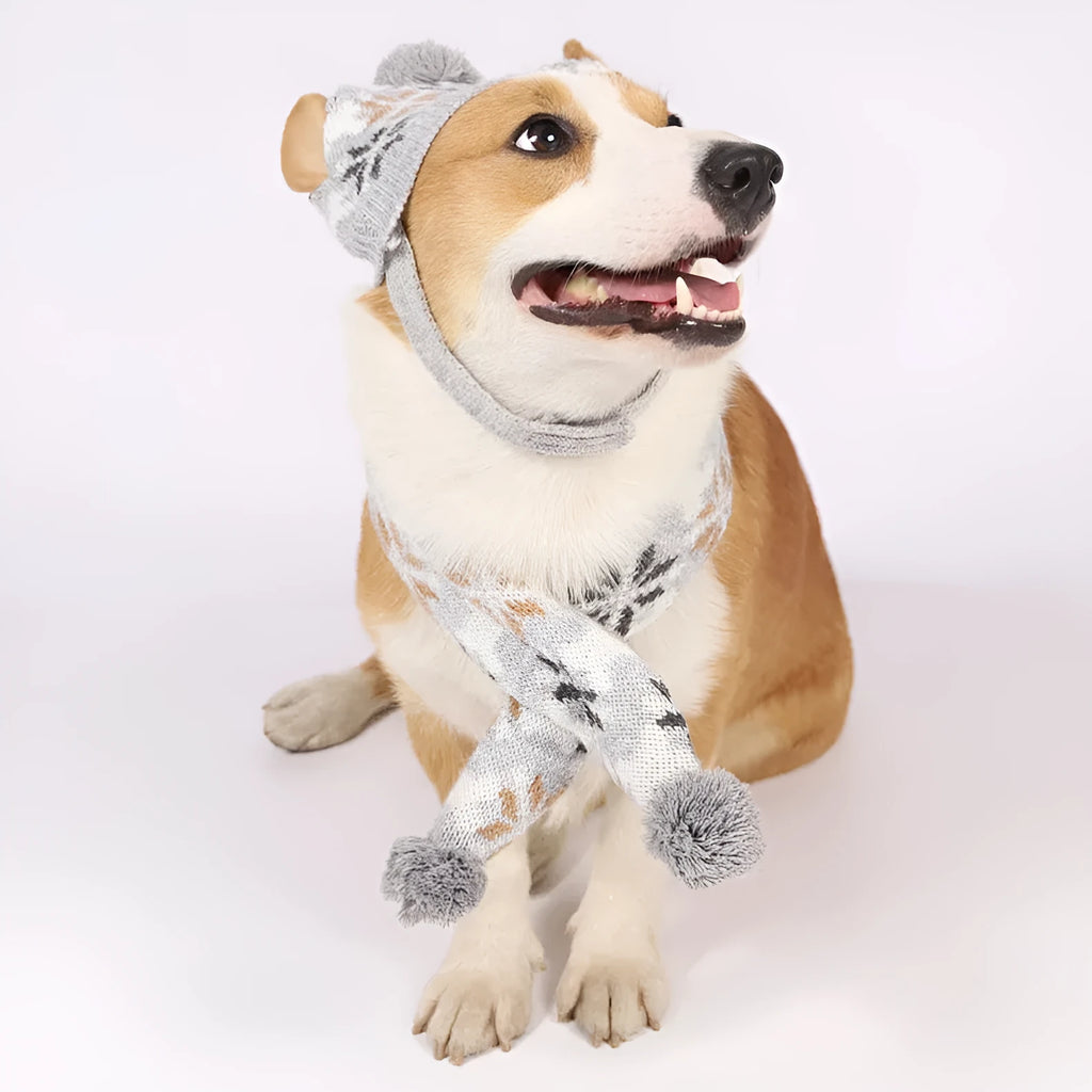 Japanese-style grey acrylic pet sweater set with matching hat and scarf on a dog model.