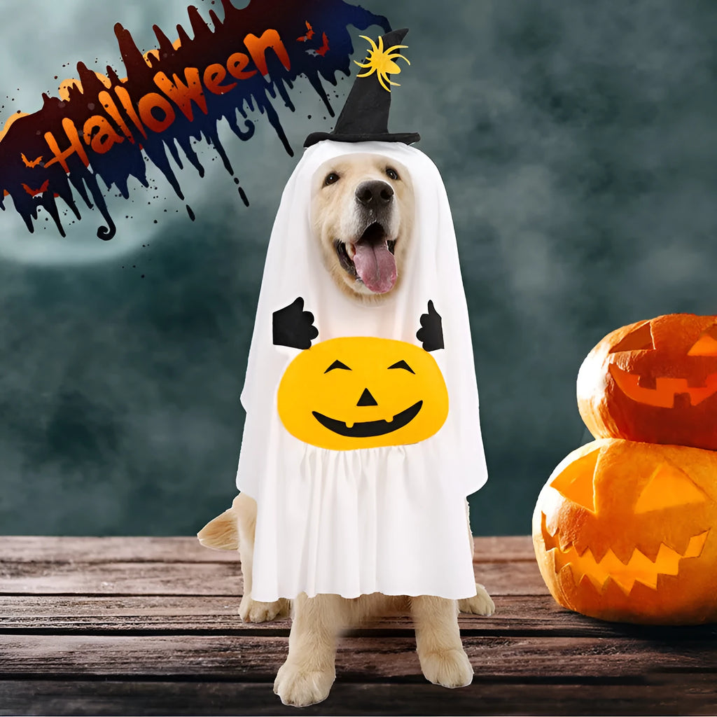 White pumpkin ghost Halloween costume for dogs in three sizes