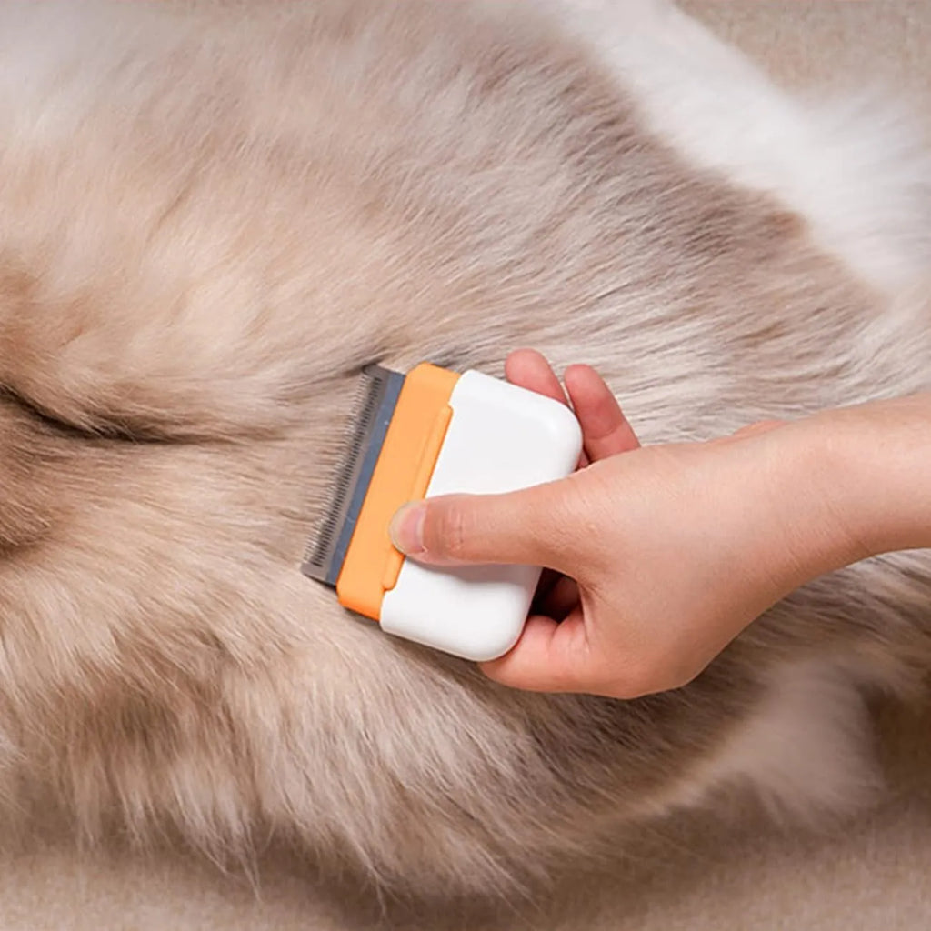 Blue double-sided pet grooming comb with stainless steel tines for cats and dogs