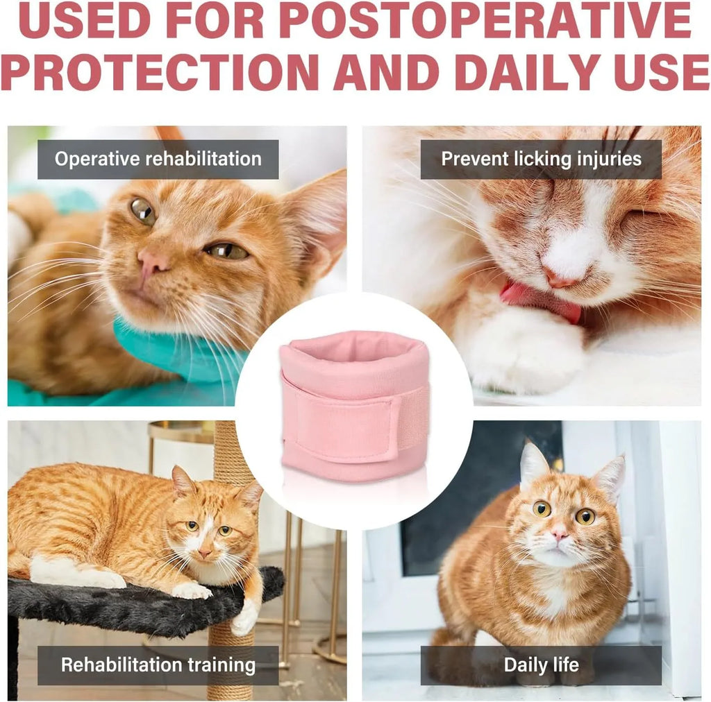 Soft grey cat cone collar for post-surgery recovery showing neck brace design