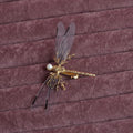 Golden dragonfly-shaped side clip headdress with jucai decoration for women
