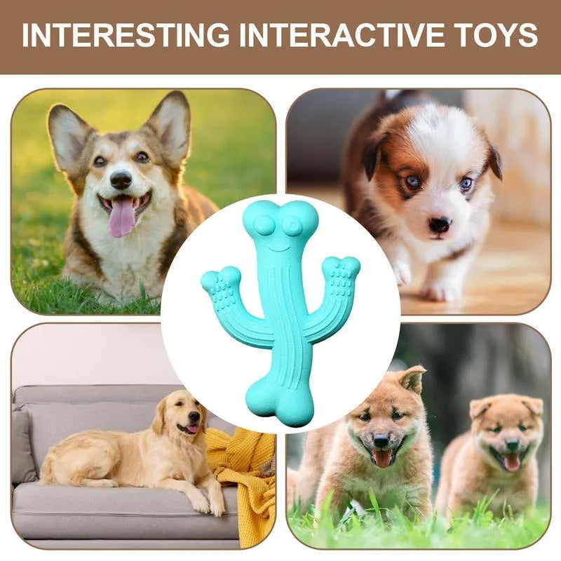 Beige, blue, or purple cactus-shaped dog chew toy made from bamboo fibre and rubber shown in small and large sizes.