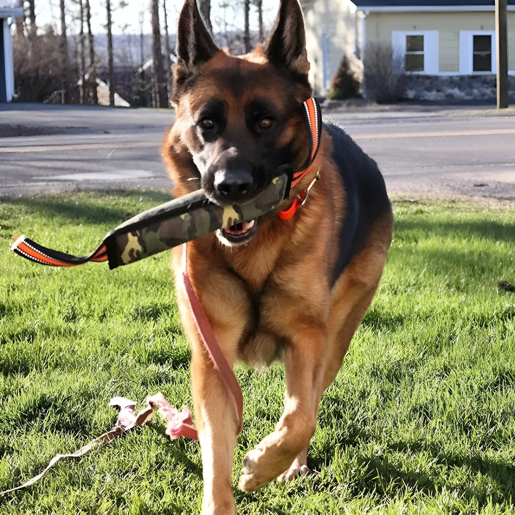 55cm long reflective yellow edge jute dog training bite stick for tug of war