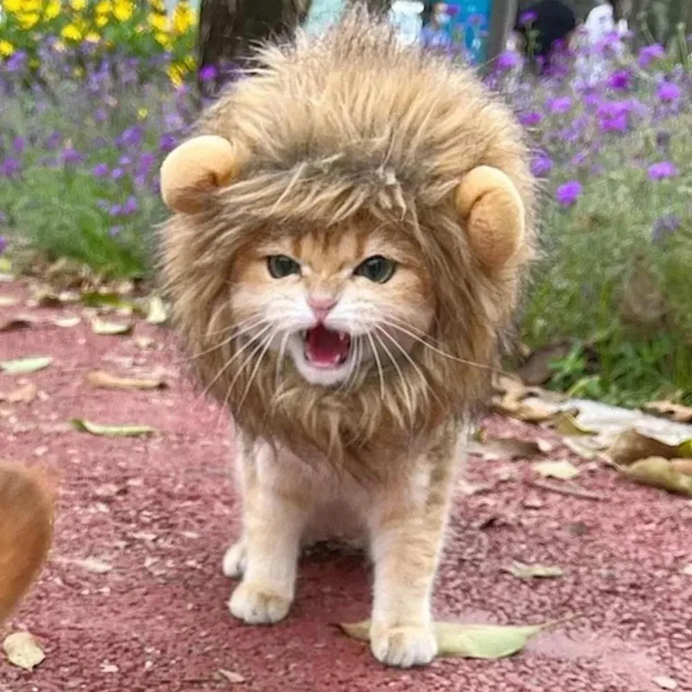 Lion mane wig for cats with artificial hair and adjustable elastic band in three sizes