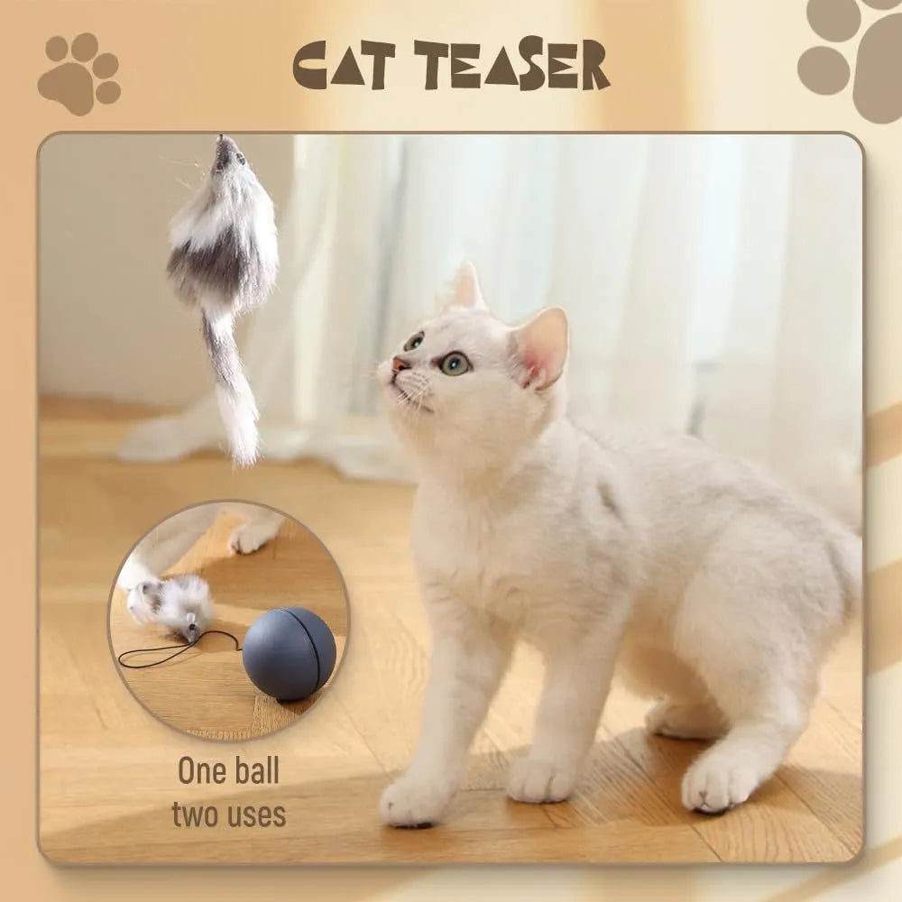 Blue and orange automatic rolling ball pet toy on a floor