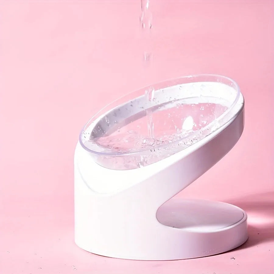 Clear elevated cat food bowl with 15-degree tilt angle on white surface