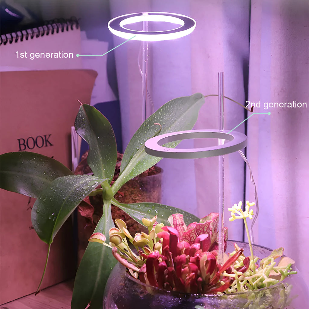Angel ring shaped USB LED full spectrum grow light for indoor potted plants on a desk.