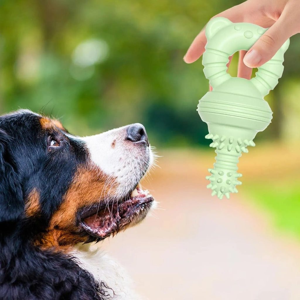 Blue rubber dog chew toy with concave-convex texture for teeth cleaning, measuring 13.5cm