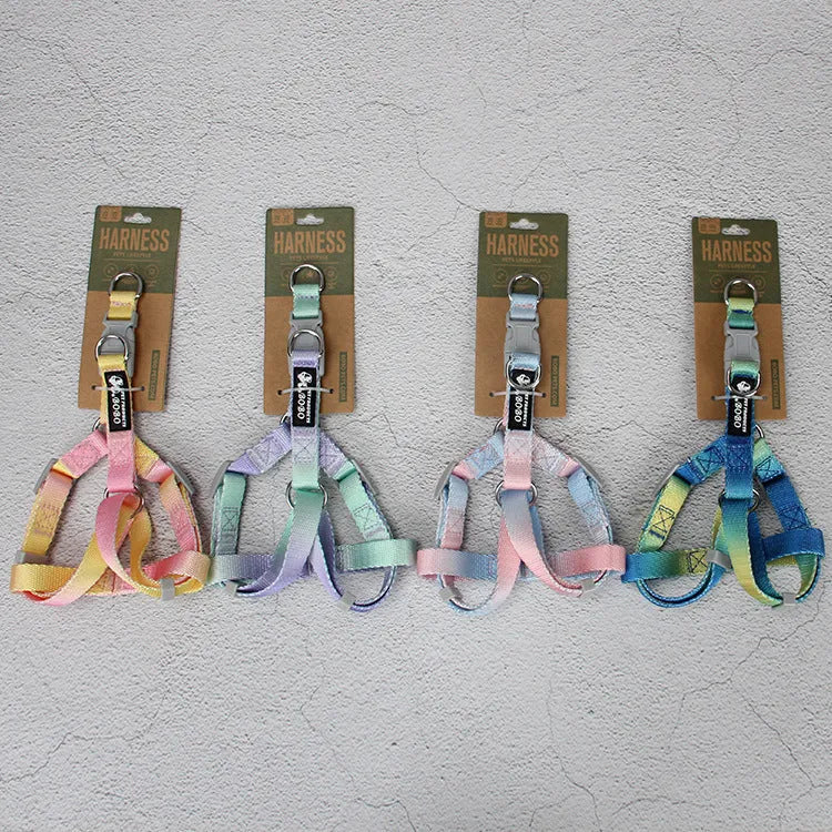 Nylon dog leash set with gradient colours in pink and blue, showing collar, chest strap, and lead for secure walks