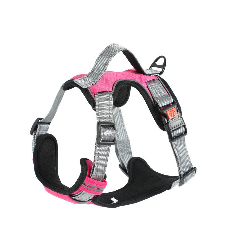 Dog wearing orange polyester chest strap with attached hand holding rope