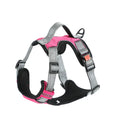 Dog wearing orange polyester chest strap with attached hand holding rope