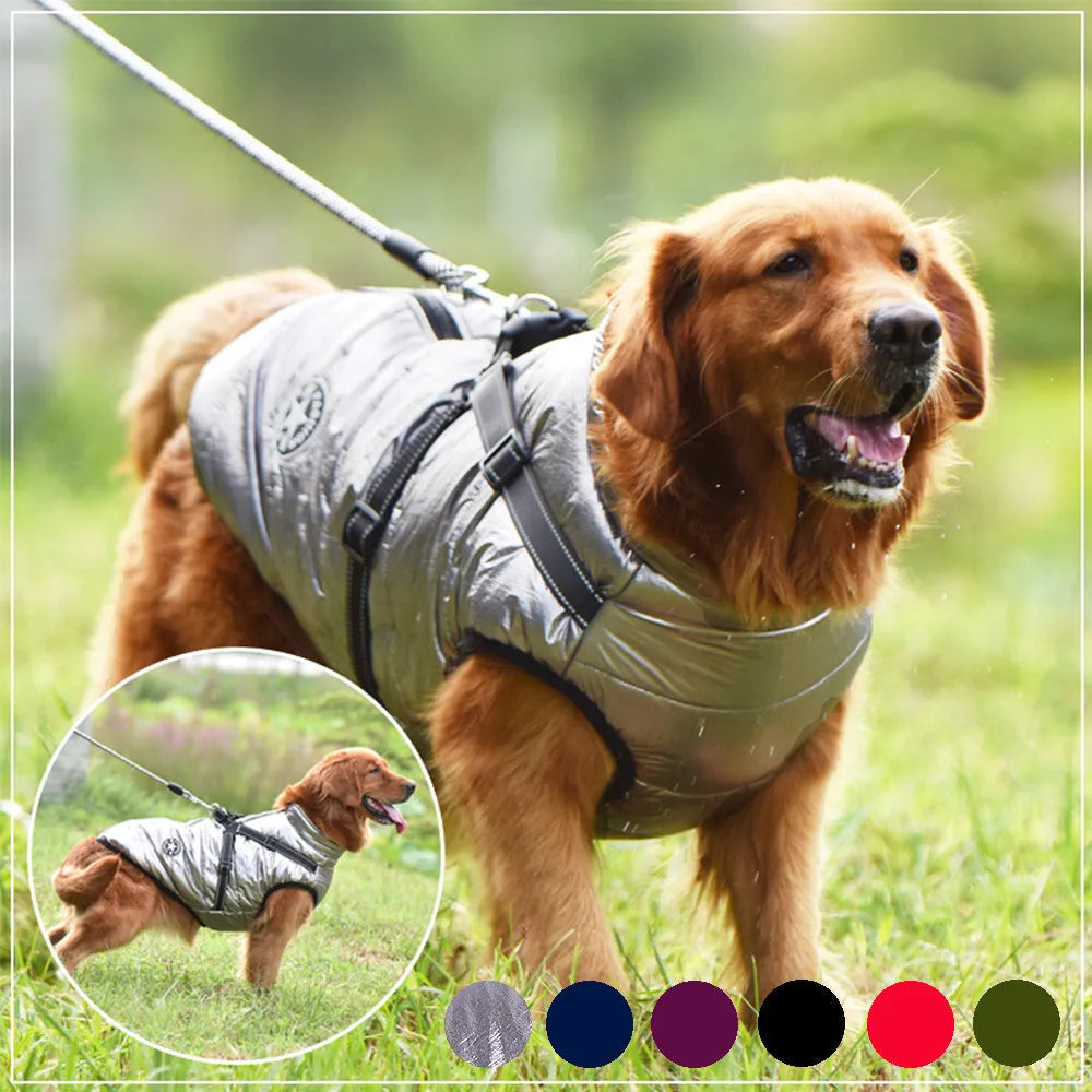 Waterproof dog coat with harness hole in rain silk fabric, available in multiple sizes and colours