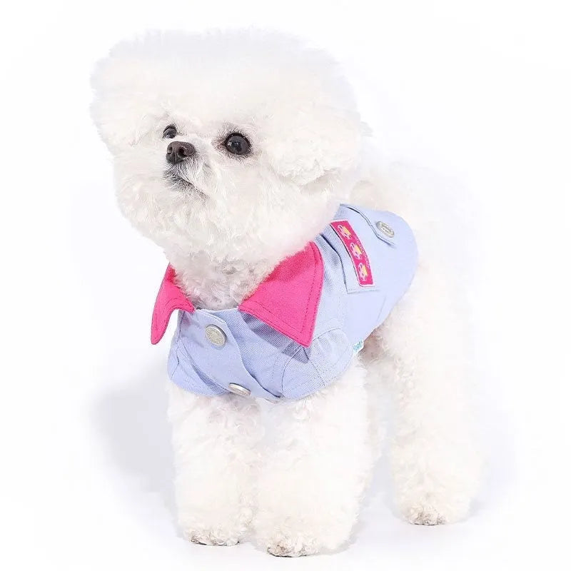 Blue mesh dog vest with a D-ring on the back, sized for a small dog.