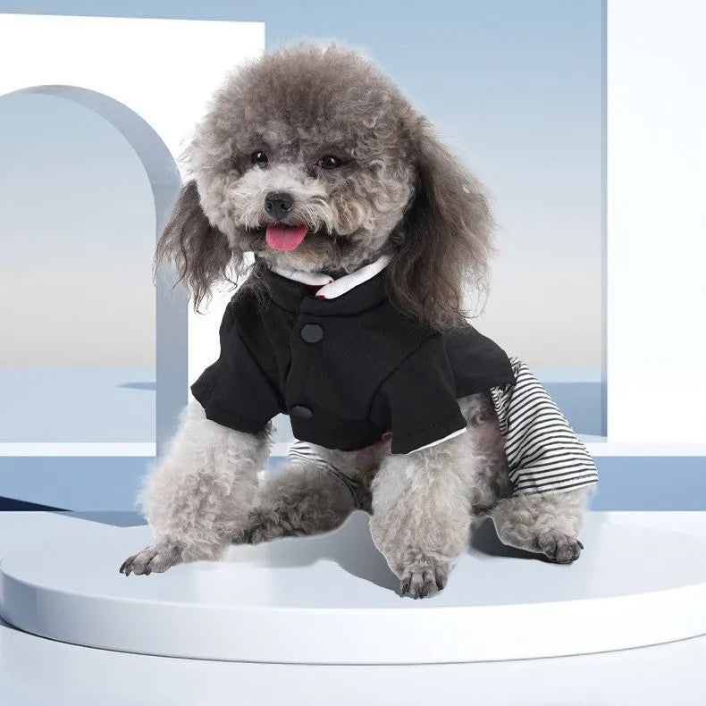 Cotton dog clothing for poodles shown in four-foot pants and skirt styles for spring, summer, and autumn wear.