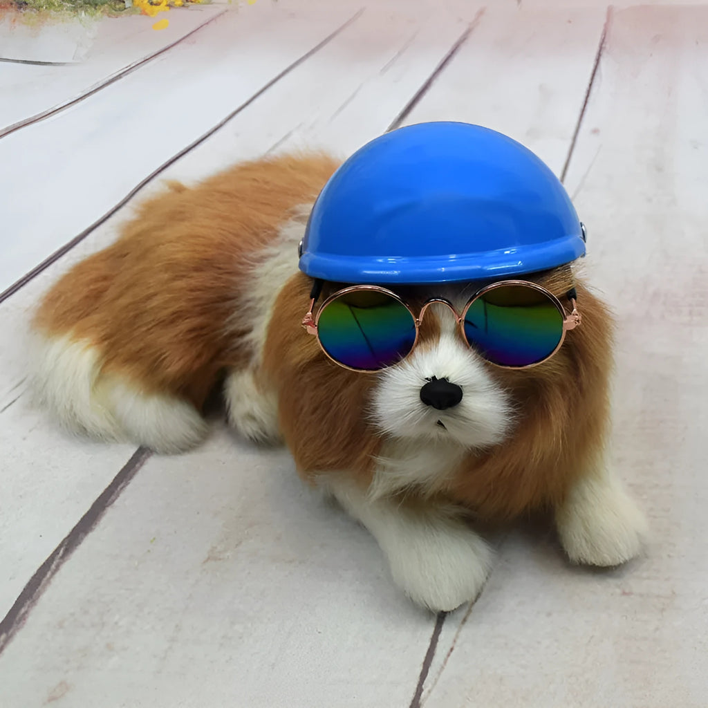 Small dog wearing a solid colour plastic motorcycle-style cap in a Japanese or Korean pet fashion style.