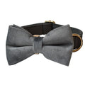 Silver grey polyester dog collar with fleece lining and alloy carabiner leash, sizes S to XL