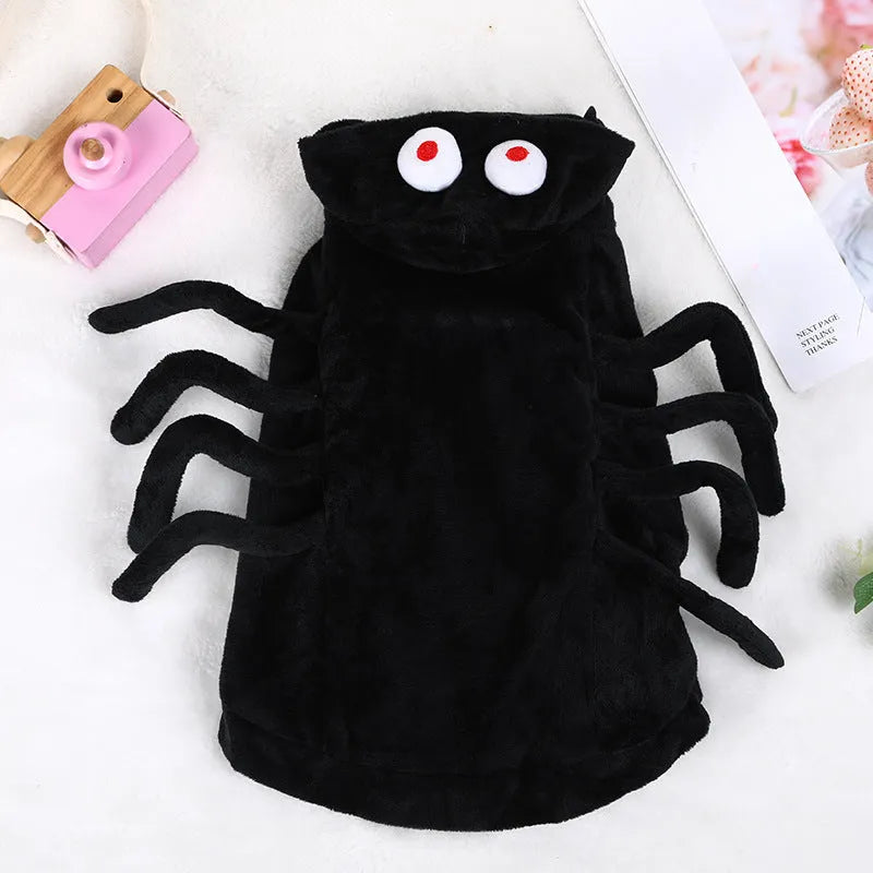 Halloween spider costume for a dog on a white background