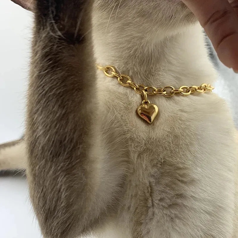 Stainless steel pet necklace with love heart pendant on curb chain in gold finish