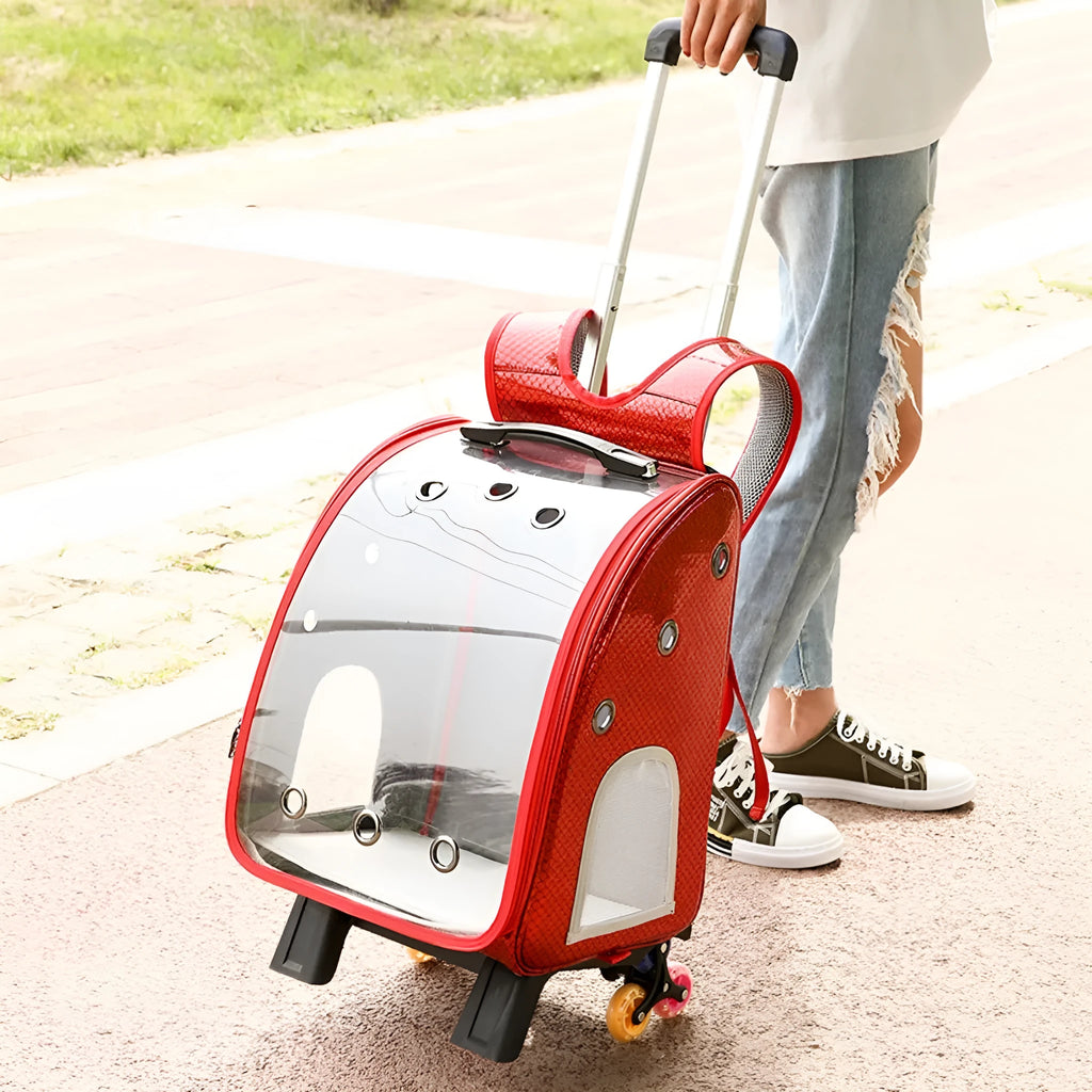 Transparent pet trolley with acrylic cover showing 12 Jin capacity for small dogs and cats with folding shoulder design