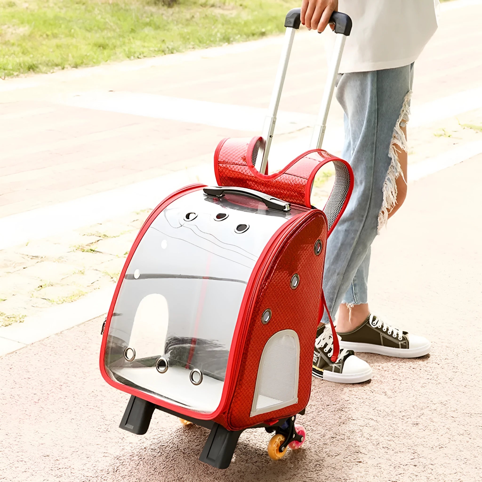Transparent pet trolley with acrylic cover showing 12 Jin capacity for small dogs and cats with folding shoulder design