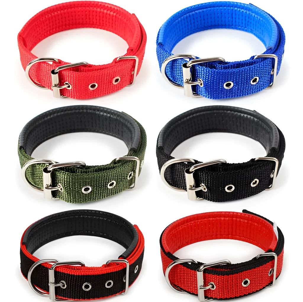 Soft leather-lined pet collar with polypropylene foam padding and nylon webbing, in multiple sizes and colours