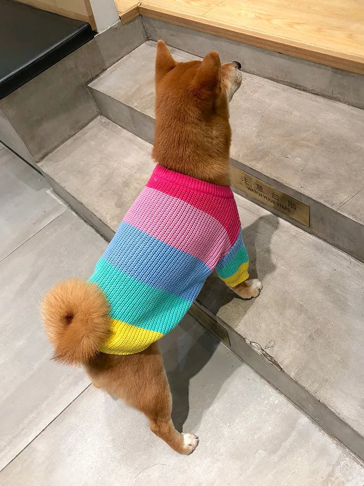 Rainbow wool dog sweater in sizes S to 3XL for dogs from 5-8 kg up to 30-38 kg