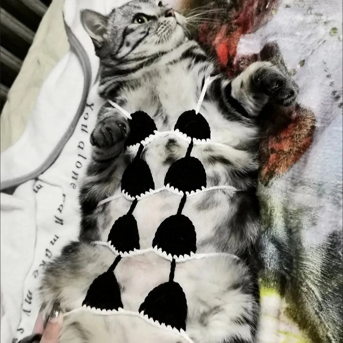 Cat wearing a polyester bikini costume in multiple colour options for Halloween or festival events