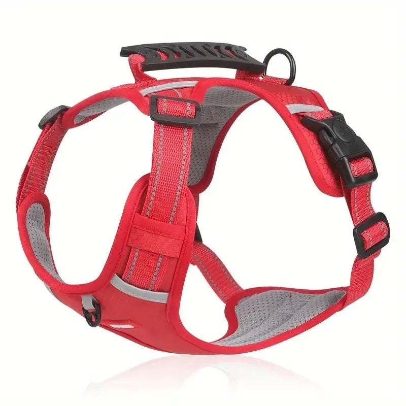 Adjustable dog harness in lake blue with reflective stitching and quick-release buckles, shown on a medium-sized dog.