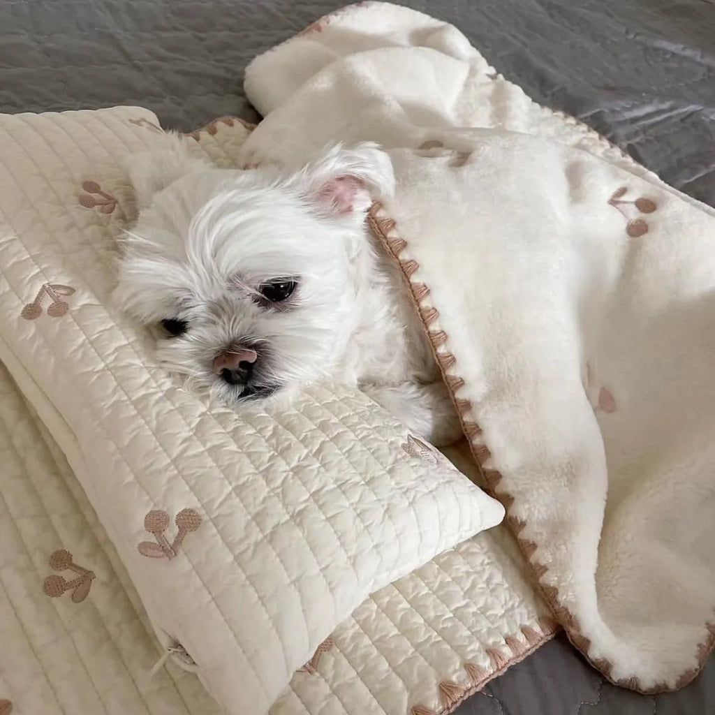 Simple bear pattern dog bed set with square mattress, pillow, and matching comforter