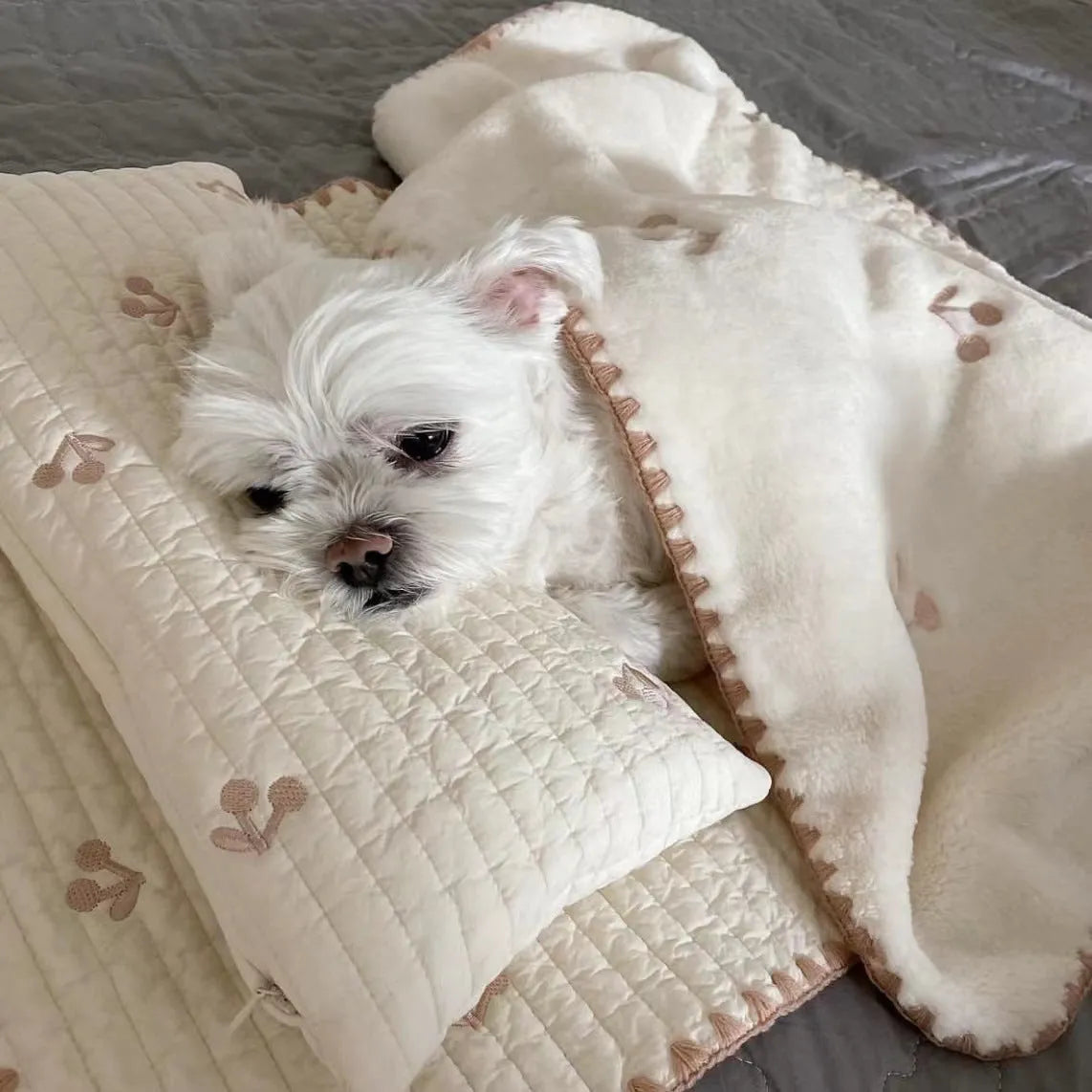 Simple bear pattern dog bed set with square mattress, pillow, and matching comforter