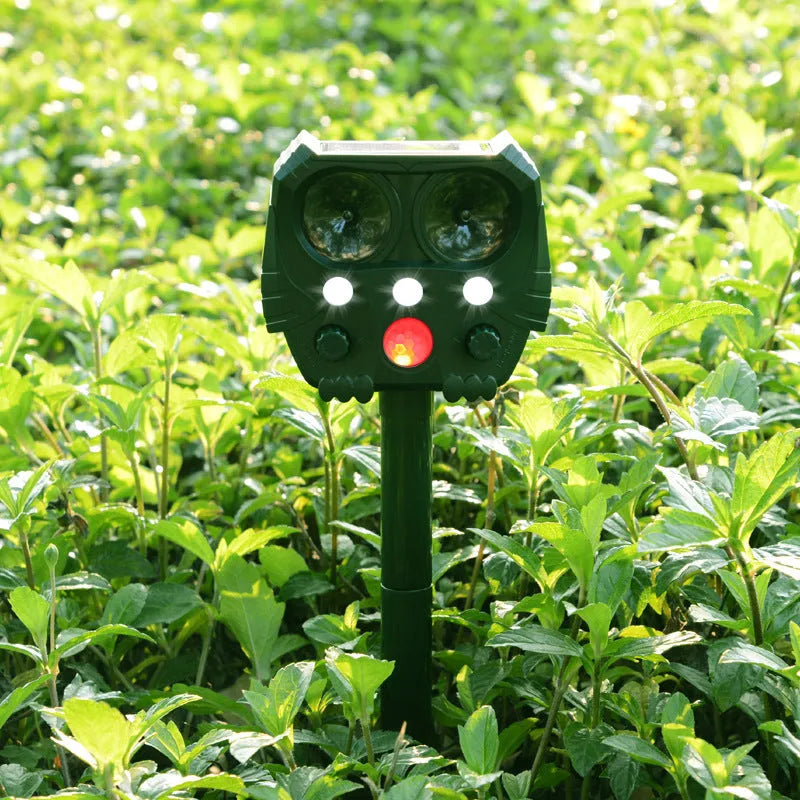 Green solar ultrasonic dog repeller with solar panel, measuring 12x13x5cm for outdoor pest control
