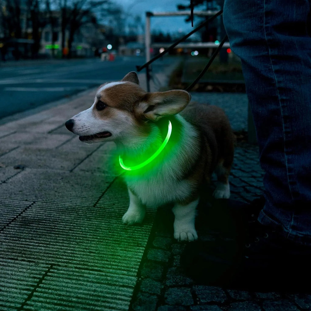 USB-rechargeable LED dog collar glowing in blue with adjustable 70cm length for pet safety