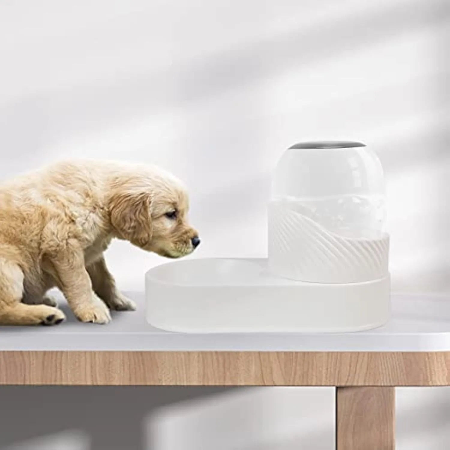 White gravity cat feeder and water dispenser set with wave-shaped design, disassembled showing cleaning access