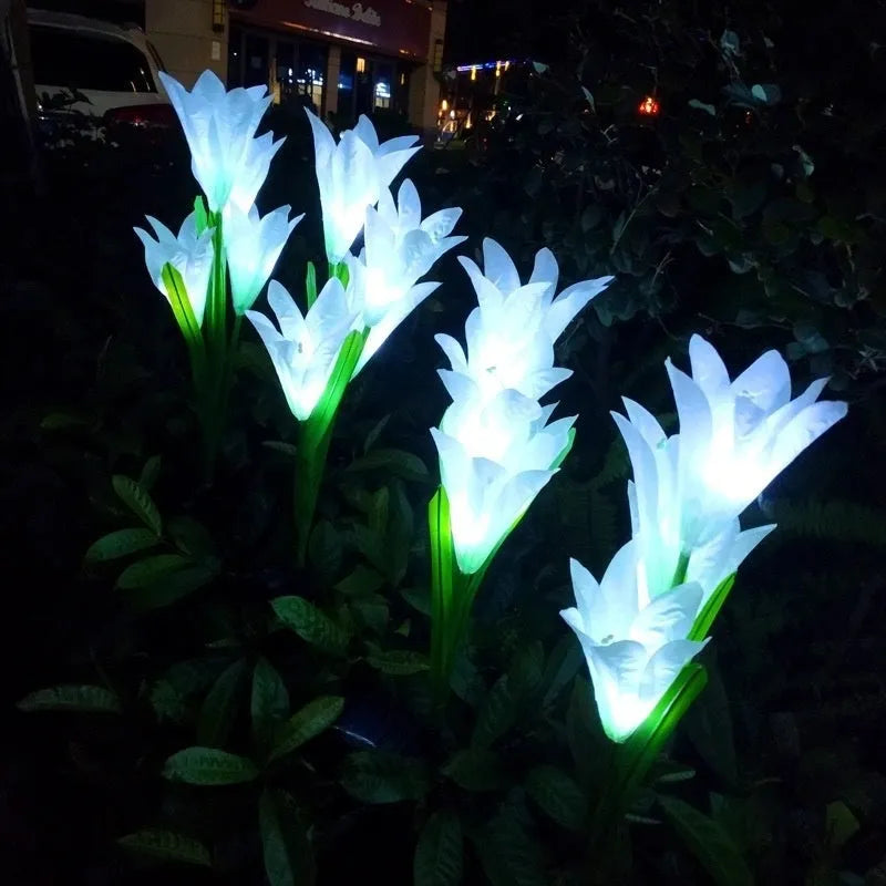 Solar-powered flower-shaped lawn lamp for garden lighting with colour LED lights