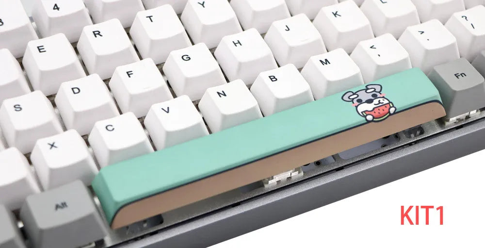 6.25U space PBT five-sided sublimation mechanical keycap, original height, colour KIT 1 to KIT 16