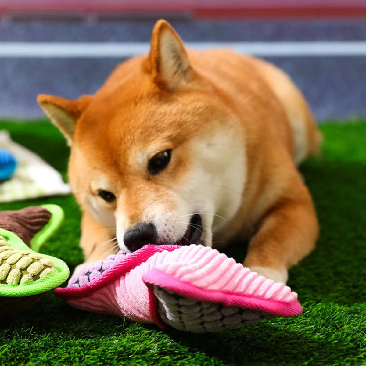 Blue, green, and pink plush dog bone toys with squeakers and soft corn fleece lining.